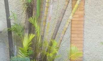 Imagem 4: SOBRADO - VILA ROMANA - SP