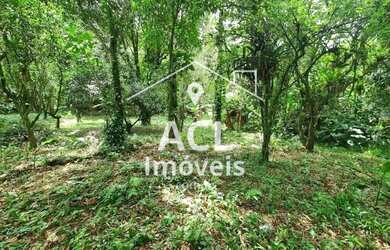 Imagem 6: Terreno Residencial à venda, S Camburi, São Sebastião - TE0022