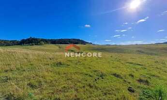 Imagem 3: Fazenda em RS 020 - Ouro Verde - Cambará do Sul/RS