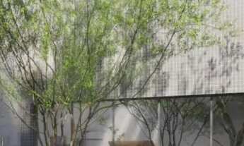 Imagem 3: APARTAMENTO 1 QUARTO 38M² SEVEN GRAÇA