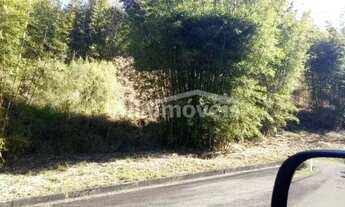 Imagem 3: Terreno - Joaquim Egídio - Campinas