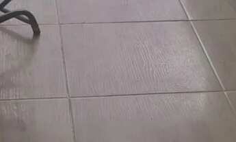 Imagem 7: Prédio Apartamento com 5 dormitórios