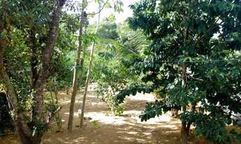 Imagem 6: Vendo Chácara em Chapada Grande