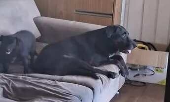 Imagem 3: Procuro alguém responsável pra dividir aluguel (apenas mulheres