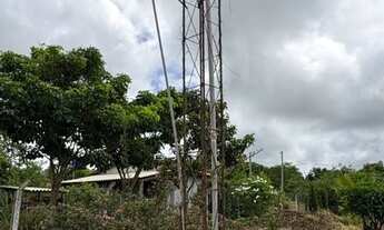 Imagem 3: CHÁCARA 4.800 m² COM CASA PRONTA - 53 km de Goiânia OFERTA PARA VENDER RÁPIDO