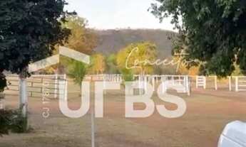 Imagem 6: Fazenda Ourinho de Deus - 63 alqueires - 7 km de Santa Tereza - Go