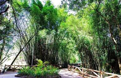 Imagem 7: Lote em condomínio à venda, Jardim Residencial Saint Patrick - Sorocaba/SP