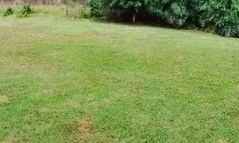 Imagem 6: Chácara com 3 dormitórios à venda, 2364 m² por R$ 1.200.000,00 - Vila Formosa - Louveira/S