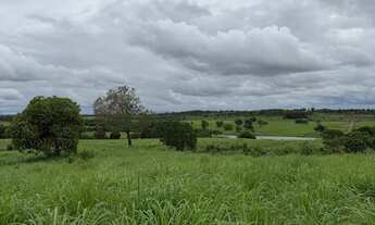 Imagem: Vendo ou alugo fazenda 52 alqueires