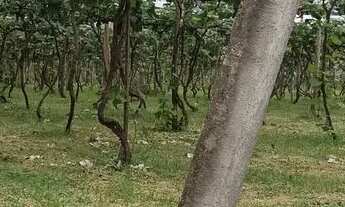 Imagem 5: Vendo chácara no Incra 7, ótima localização