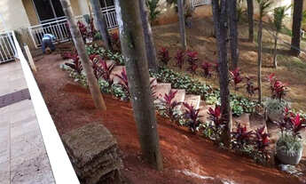 Imagem: Use seu FGTS e se não der use seu carro