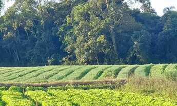Imagem 5: Comece a Investir em Terrenos no Interior em Ibiúna SP MN