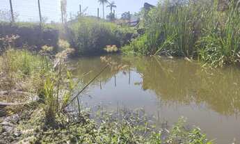 Imagem 3: Sítio em Betim com pomar produzindo bairro Limoeiros