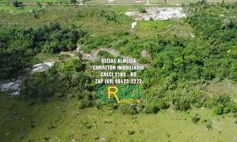 Imagem 4: 32 Alqueires Machadinho-RO