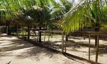 Imagem 2: Linda Granja(chácara