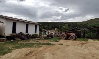 Imagem 4: Fazenda 450 hectares ótima de água à venda em Setubinha/MG