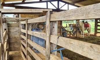 Imagem 4: Fazenda de 20 alqueires em Hidrolândia