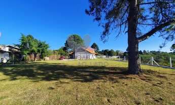 Imagem 6: QUATRO BARRAS - Casa Padrão - Jardim das Acacias