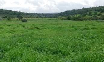 Imagem 7: Teófilo Otoni - Fazenda - Centro