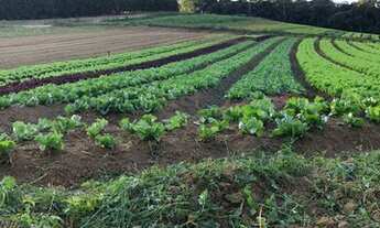 Imagem 7: Comece a Investir em Terrenos no Interior em Ibiúna SP MN