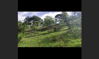 Imagem 6: Chácara Chácara com venda por R$2.450.000