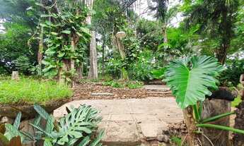 Imagem 3: Chácara fabulosa dentro de Goiânia 8000M² ótimo para investimento ou lazer