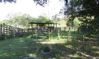 Imagem 6: Fabio Paes Imóveis - Fazenda a venda com 15.5 alq (75.02 ha), terra boa e muito boa de águ