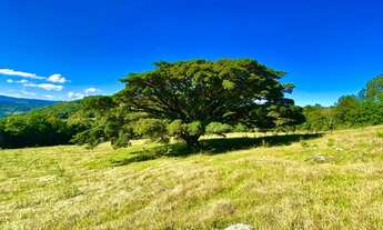 Imagem 6: Sitio com 6 Hectares em Três Coroas na Localidade de Figueira na Serra Gaúcha