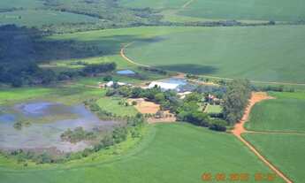 Imagem 3: Fazenda Município Cristalina - GO