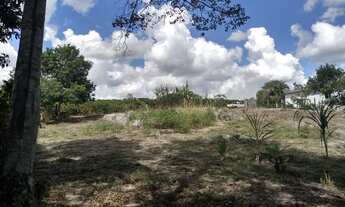 Imagem 7: Vendo lote 450 metros quadrados