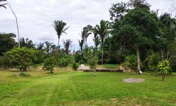 Imagem 5: Vendo Sítio de 69 hectares(345x2000), Na BR 319, KM 13, Linha Transpurus