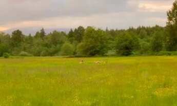 Imagem 5: Fazenda/Sítio/Chácara para venda possui 600 metros quadrados com 3 quartos fotos ilustrati