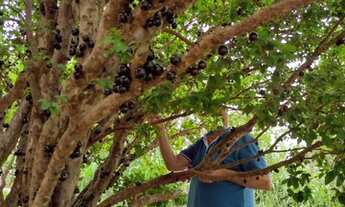 Imagem: Casa Condomínio Fechado 150m2, Lote 725m2,Ribeiro