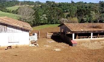 Imagem 2: Vendo sítio Chácara com venda por R$450.000