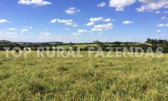 Imagem 3: Sitio 27 Alqueires, Próximo Avare-Sp