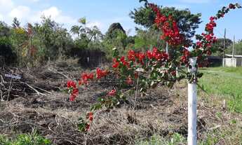 Imagem 4: Lote/Terreno com 198m² no Jardim Fênix em Itanhaém-SP (litoral sul) entrada de R$4.500,00