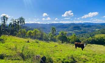 Imagem 3: Sitio com 6 Hectares em Três Coroas na Localidade de Figueira na Serra Gaúcha