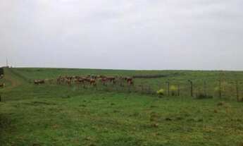 Imagem 6: AR 2741) Área Rural - Interior da cidade de Caçapava
