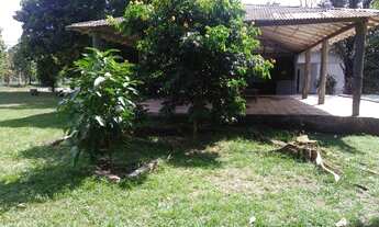 Imagem 2: VENDE-SE TERRENO DE PISTA (100% Documentado), KM37 - Manaus/ Itacoatiara