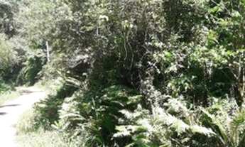 Imagem 5: Sítio 21 ha, ótimo para turismo