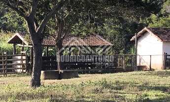 Imagem 2: Fazenda na Comunidade Lagoa de Freitas - aproximadamente 50km de MOC