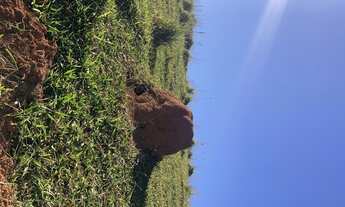 Imagem 5: R5- Venha já conferir os terrenos mais panos da região de Igarata