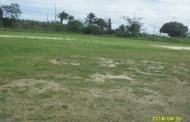 Imagem 5: Vendo área plana com 5.700m² no Jiquiá, rua calçada próximo a Rua São Miguel - Recife - P