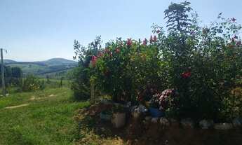 Imagem 5: Sítio 5.000m2 com casa nova, muitos frutos e linda vista em Piedade dos Gerais/MG