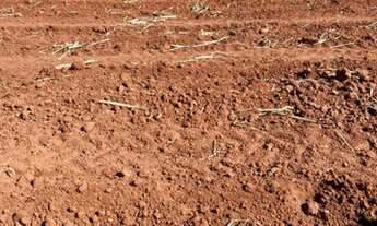 Imagem 3: Fazenda a venda na região de Londrina PR
