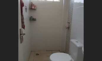 Imagem 7: Vendo apartamento 2 quartos região coronel antonino