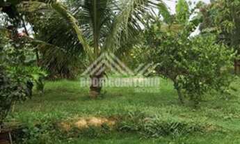 Imagem 5: Fazenda na Comunidade Lagoa de Freitas - aproximadamente 50km de MOC