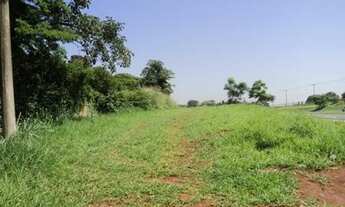 Imagem 7: Chácara com 3 dormitórios à venda, 4758 m² por R$ 4.850.000,00 - Santa Terezinha - Paulíni