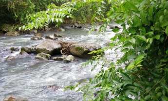 Imagem 7: Chácara 3 hectares com escritura só 73 mil