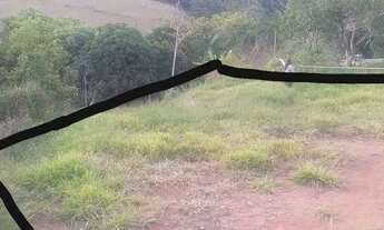 Imagem 4: Terreno MG-353(Privilégio